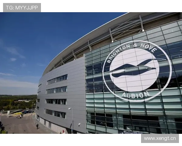 布莱顿球迷抗议俱乐部运营现状 布莱顿球迷抗议俱乐部运营现状