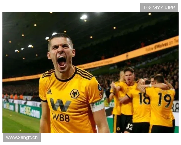 西布朗英超征战岁月回顾：升降起伏中的坚守与挑战