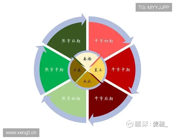 阿尔瓦雷斯战术角色如何提升体系深度